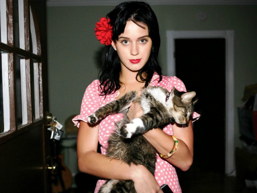 kitty purry katy perry