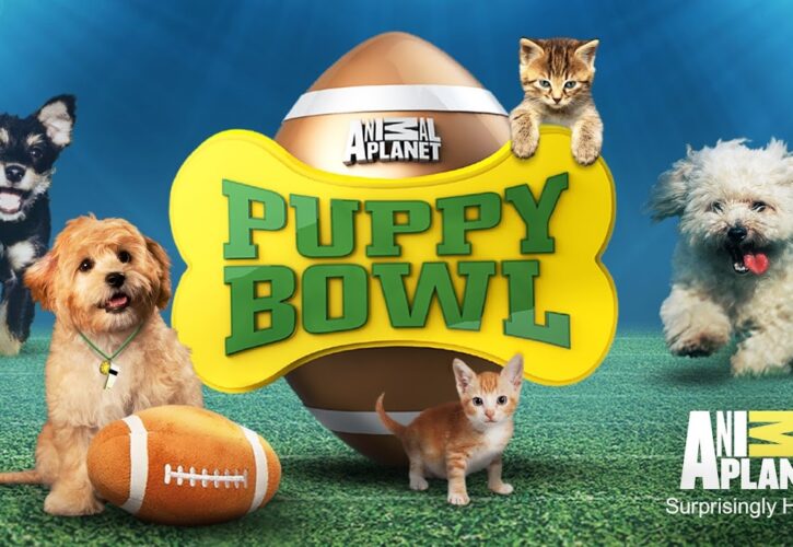 Puppy Bowl is back in 2018! Meet Team Fluff and Team Ruff