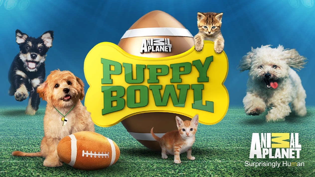 puppy bowl