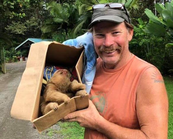 sloth baby rescue costa rica