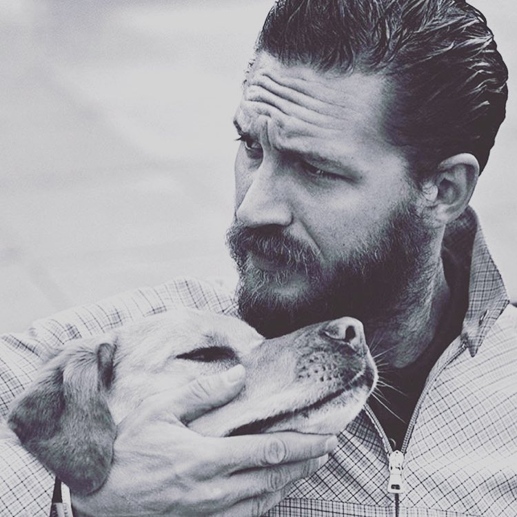 tomhardy