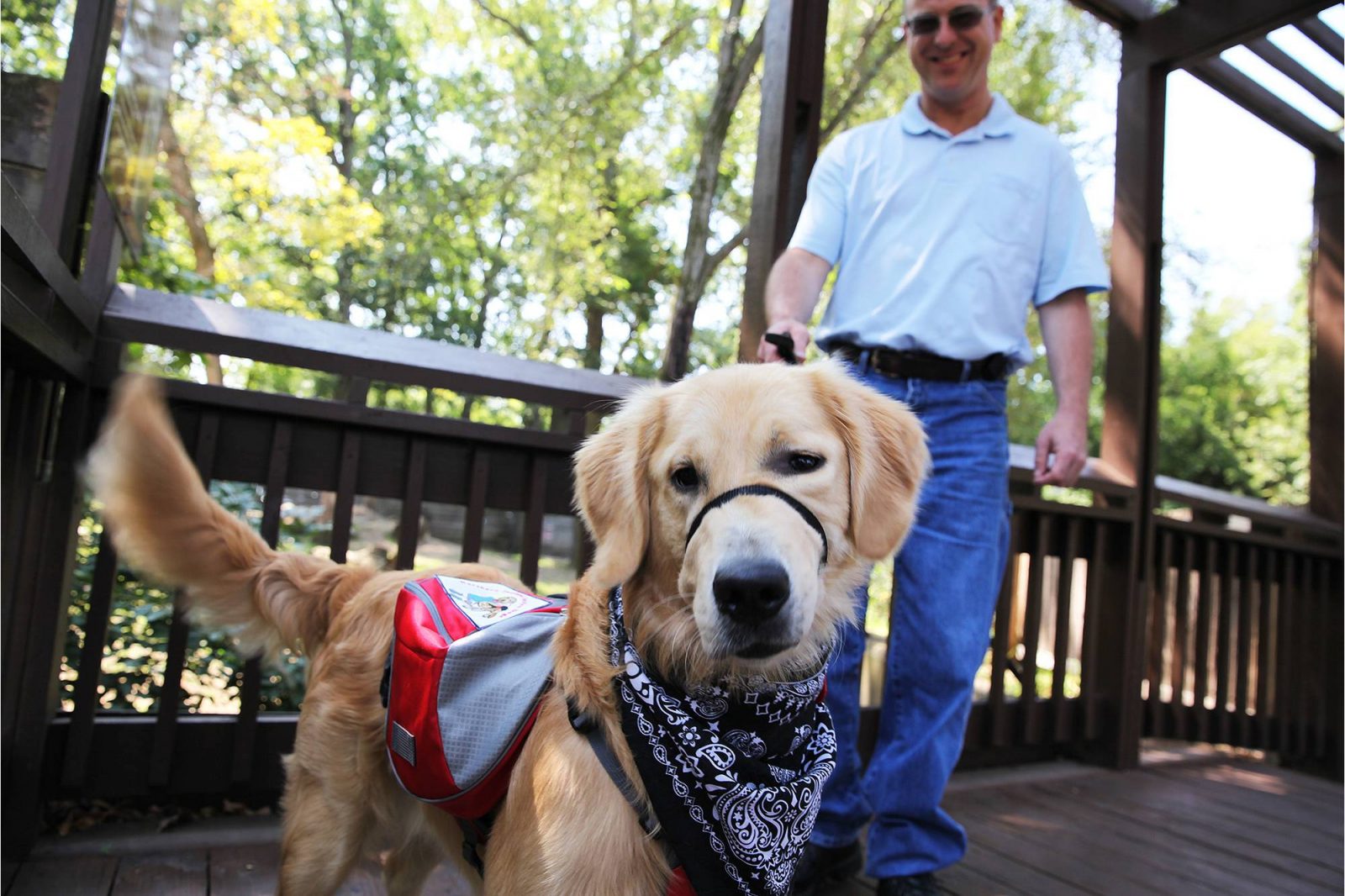 Therapy dog snuggles away seizures for epileptic patient ...