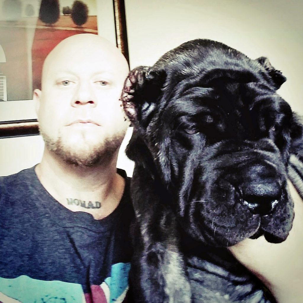 worlds biggest dog 