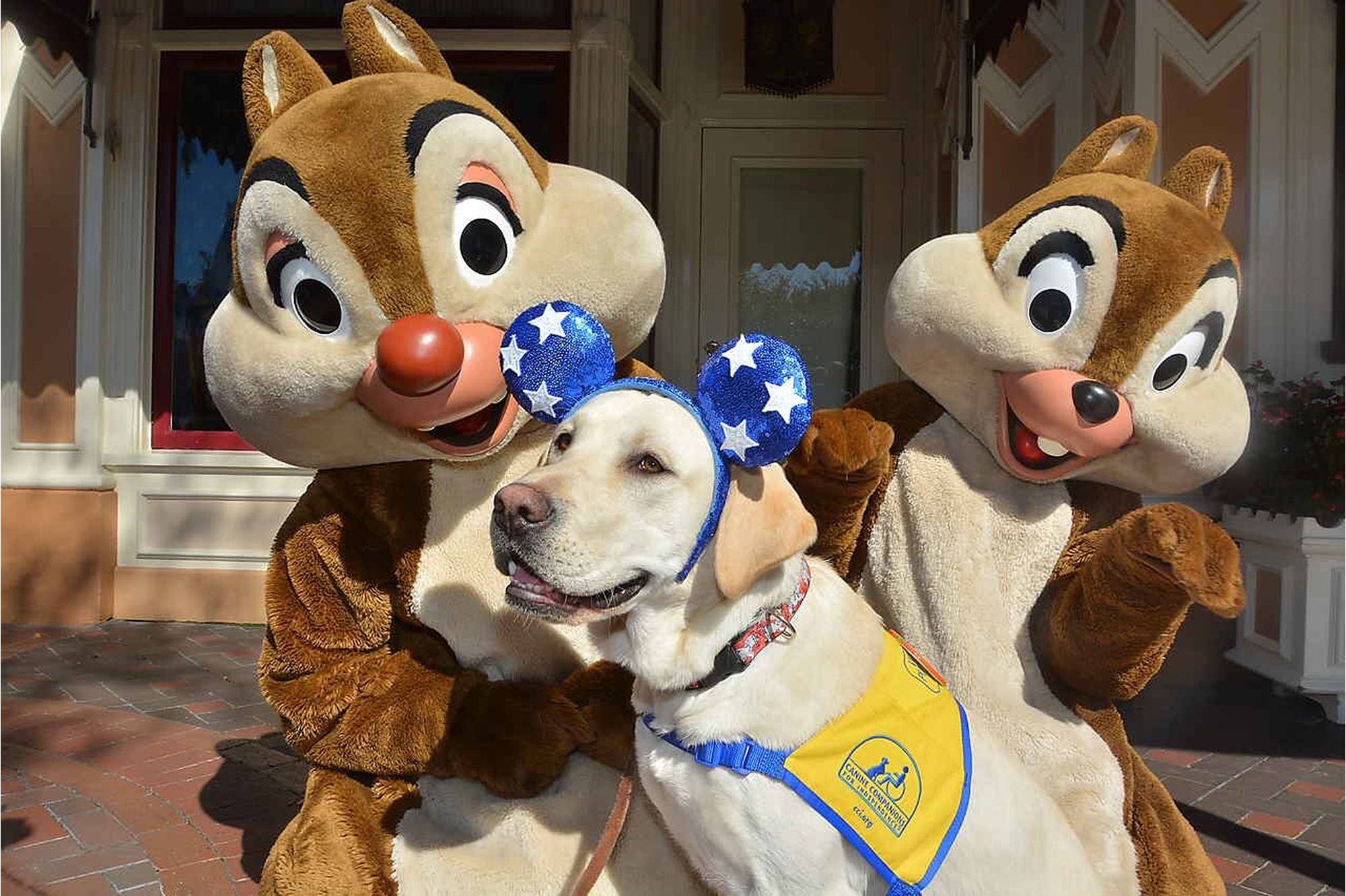 service dogs Disneyland