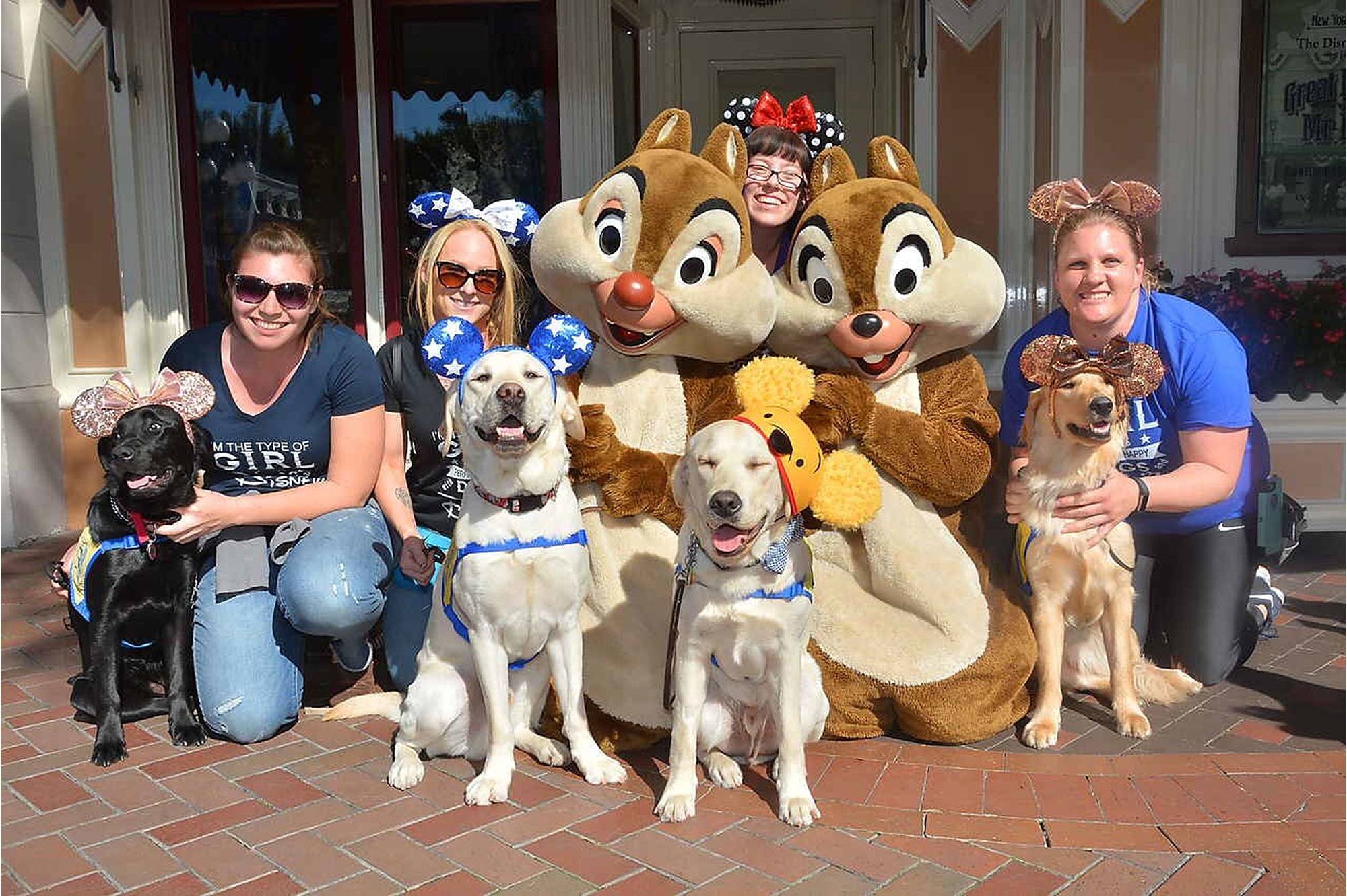 service dogs Disneyland