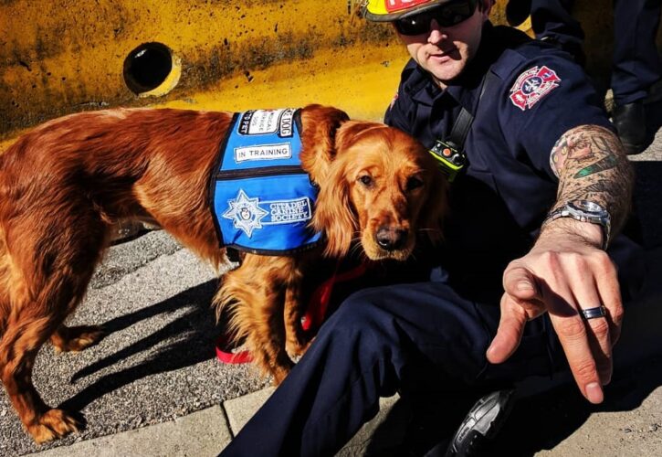 Lola the golden retriever joins fire department to help with mental health