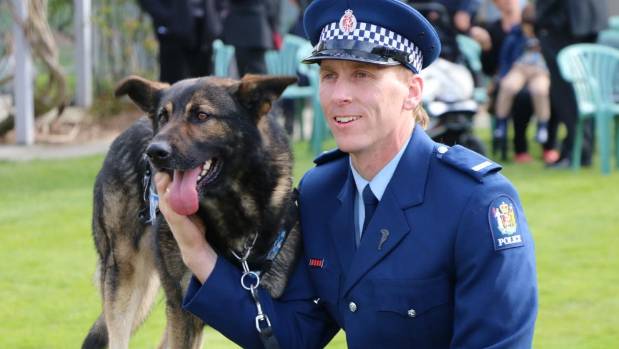 Hero police dog stabbed, saved by another hero police dog with blood donation