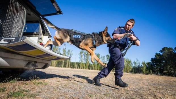 Police dog Kosmo