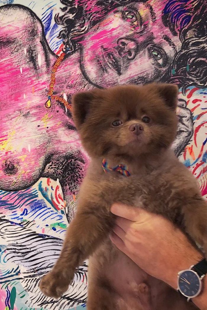 bertiebertthepom