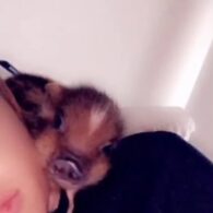 Ariana Grande's pet Piggy Smallz