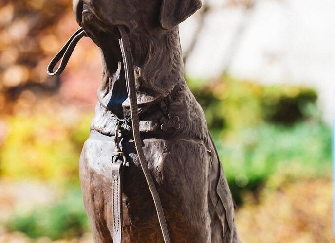 New Statue Honors Sully the Service Dog
