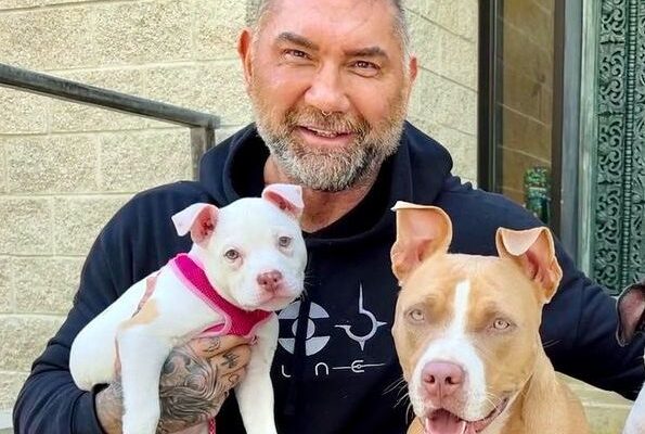 Dave Bautista Pets