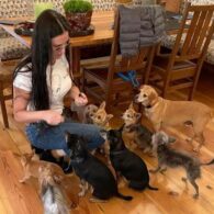 Demi Moore feeding her pack of rescue dogs