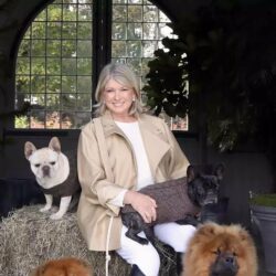Martha Stewart Pets