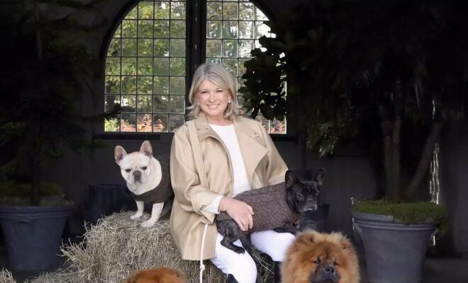 Martha Stewart Pets