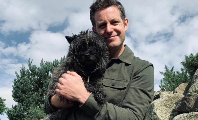 Matt Baker Pets