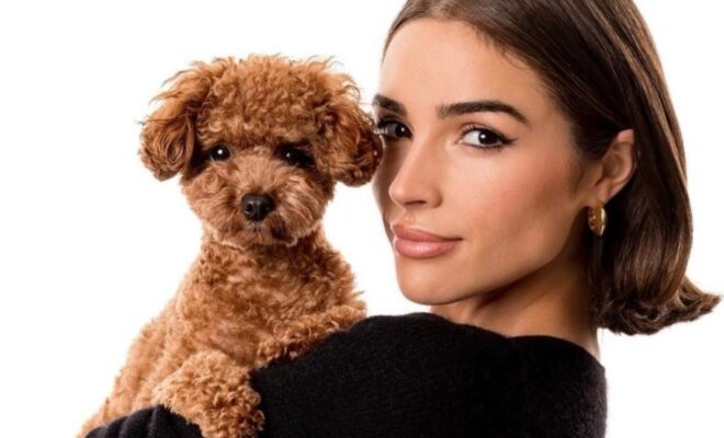 Olivia Culpo Pets