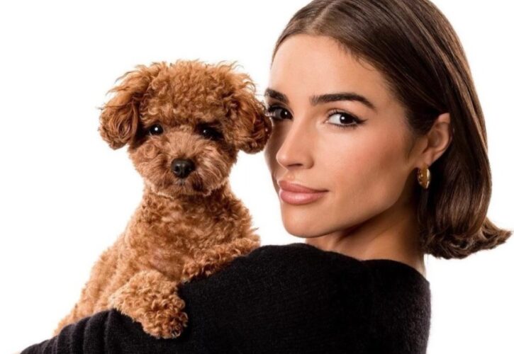 Olivia Culpo Pets