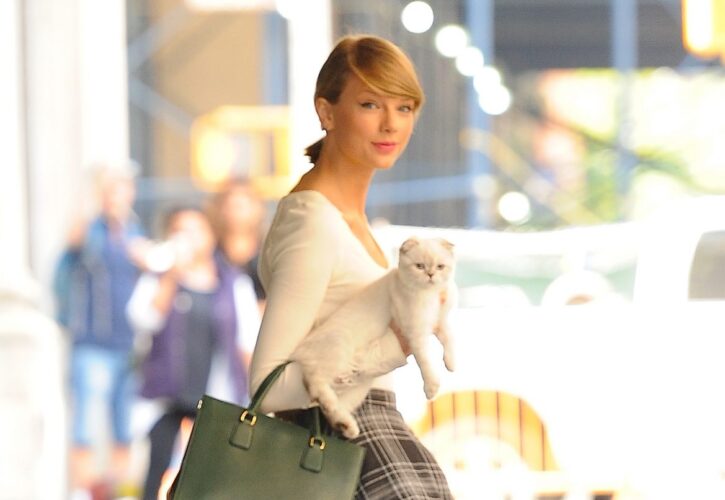 Taylor Swifts Cat Olivia Benson is One of the Worlds Richest Pets