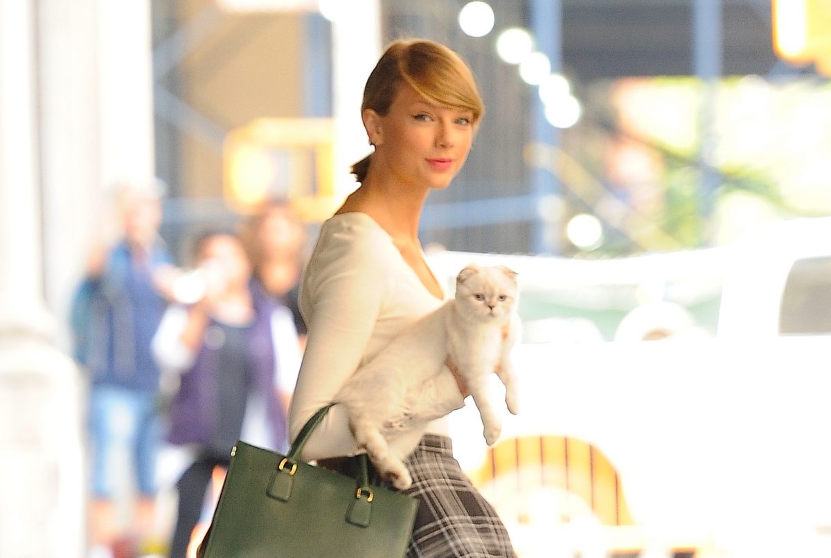 Taylor Swifts Cat Olivia Benson Is One Of The Worlds Richest Pets