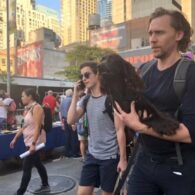 Tom Hiddleston's pet Bobby