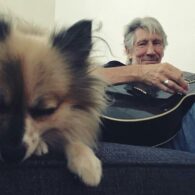 Roger Waters' pet Dog