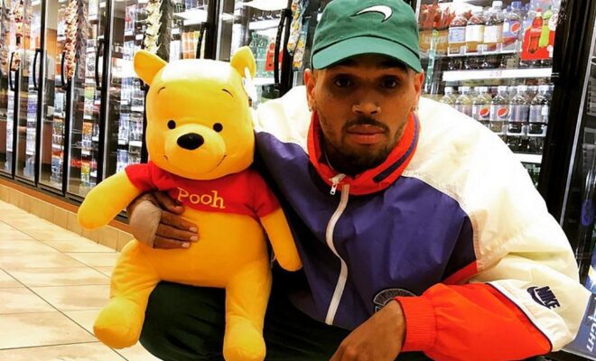 Chris Brown Pets