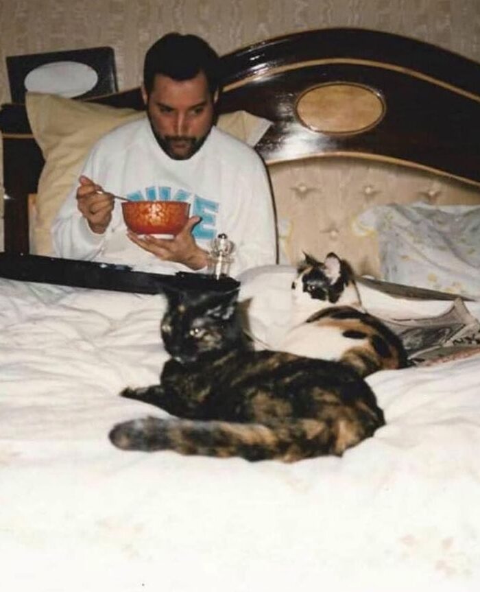 Freddy Mercury eating soup in bed with his cats