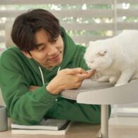 Gong Yoo's pet Kongkong and another cat