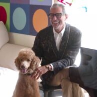 Jeff Goldblum's pet Woody the standard poodle