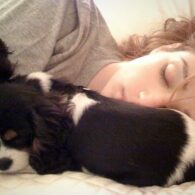 Kristen Connolly's pet Lucy