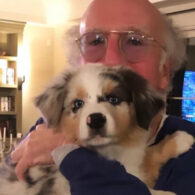 Larry David's pet Bernie