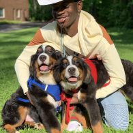 Lil Nas X Bernese Mountain Dogs 7 and 9-2