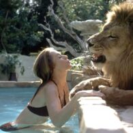 Melanie Griffith's pet Neil the Lion