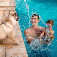 Michael Phelps' pet Juno and Legend