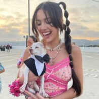 Olivia Rodrigo's pet Wants to Adopt a Dog