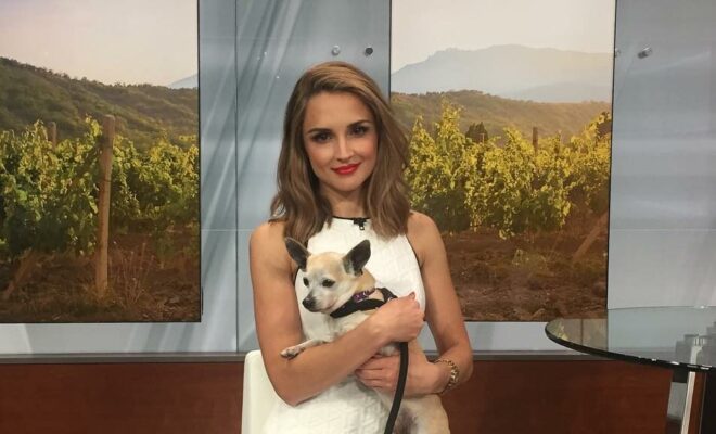 Rachael Leigh Cook Pets