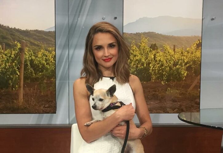 Rachael Leigh Cook Pets