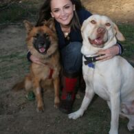 Rachael Leigh Cook's pet Sunny and Cooper