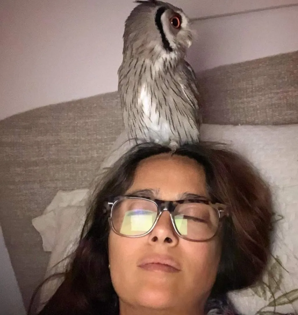 Salma Hayek Pets Celebrity Pets