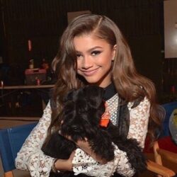 Zendaya Pets