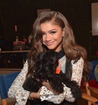 Zendaya Pets