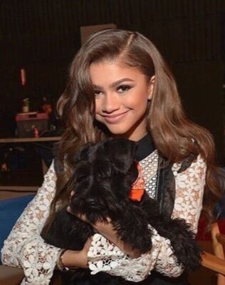 Zendaya Pets