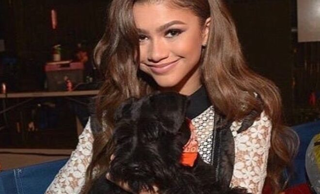 Zendaya Pets