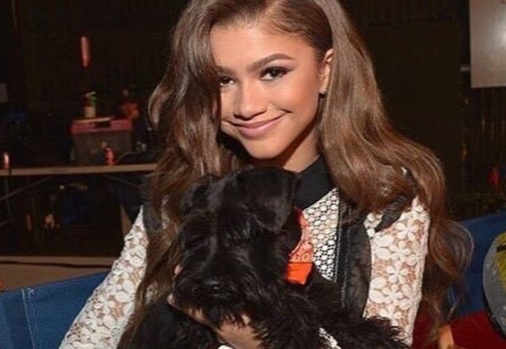 Zendaya Pets