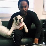 Kendrick Lamar's pet Bulldog