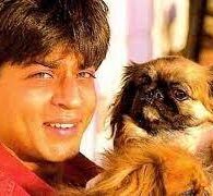 Shah Rukh Khan's pet Dash