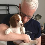 Anderson Cooper's pet Lilly