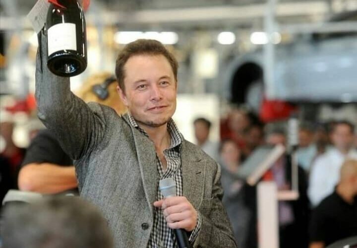 Elon Musk Pets