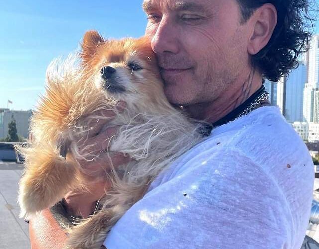 Gavin Rossdale Pets